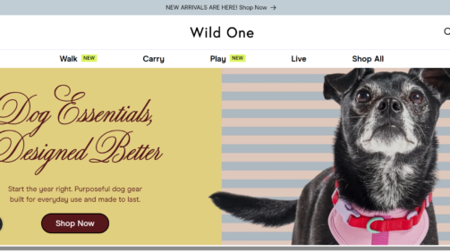Dog-Harnesses-Collars-Leashes-Toys-Essentials-Wild-One-01-22-2026_12_21_PM