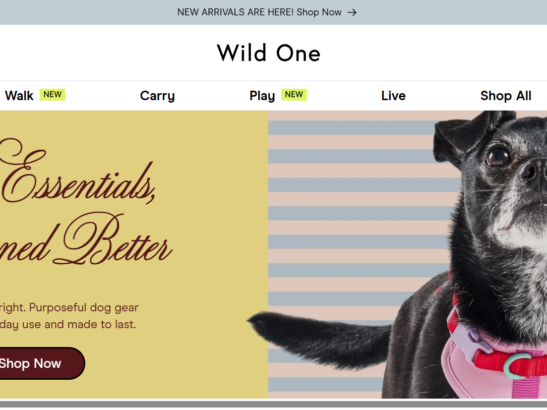 Dog-Harnesses-Collars-Leashes-Toys-Essentials-Wild-One-01-22-2026_12_21_PM