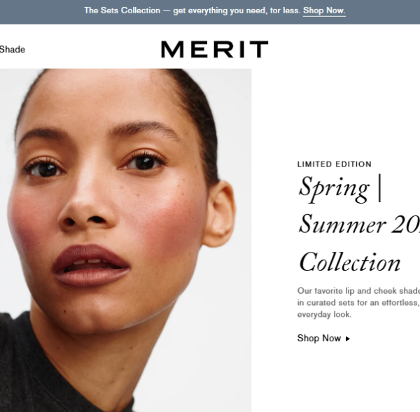 Merit Website
