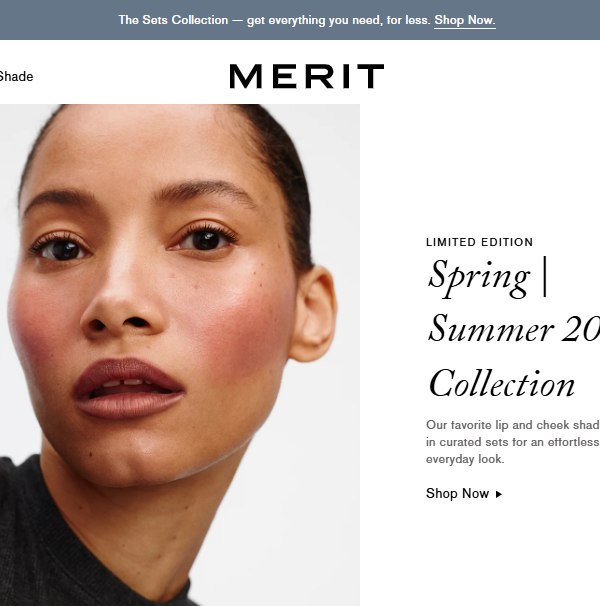 Merit Website